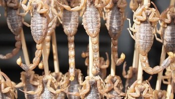 Jajanan di China unik-unik, salah satunya sate kalajengking. Foto: via Brightside