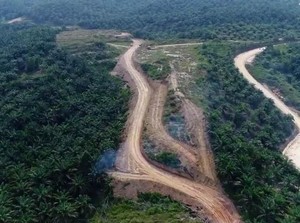 Pembebasan Tanah Tersendat, Proyek Tol Pekanbaru-Dumai Lambat