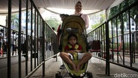 Sejumlah orang tua antusias mengajak anaknya untuk menghadiri acara bersejarah ini.