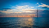 3. Kebun angin ini menyuplai lebih dari setengah juta rumah dengan kapasitas pembangkit sebesar 659 megawatt. Foto: Dok. Businessinsider