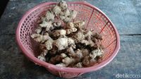 Srupu! Hangatnya Kopi Rempah Purworejo Penambah Stamina Pria