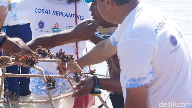 Kompak Barkaus Putih, Lagarde hingga Luhut Tanam Terumbu Karang di Bali