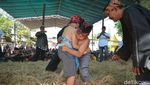 Potret Gulat Okol yang Jadi Olahraga Tradisional di Surabaya