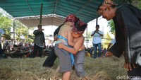 Mereka bertanding dipanggung dan gelanggangnya beralasakan jerami. Para pegulat pun diharuskan memakai selandang yang dilingkarkan dibagian tubuh (Deni Prastyo Utomo/detikTravel) 