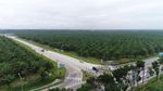 Penampakan Tol Medan-Binjai Tembus Belantara Hutan Sawit