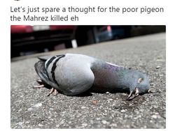 Deretan Meme Kocak Mahrez Gagal Penalti