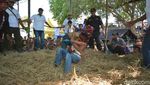 Potret Gulat Okol yang Jadi Olahraga Tradisional di Surabaya