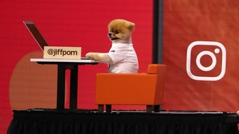 Jadi selebgram, Jiffpom pun didaulat hadir dalam sebuah acara Facebook pada bulan Mei tahun ini. (Foto: Justin Sullivan/Getty Images)