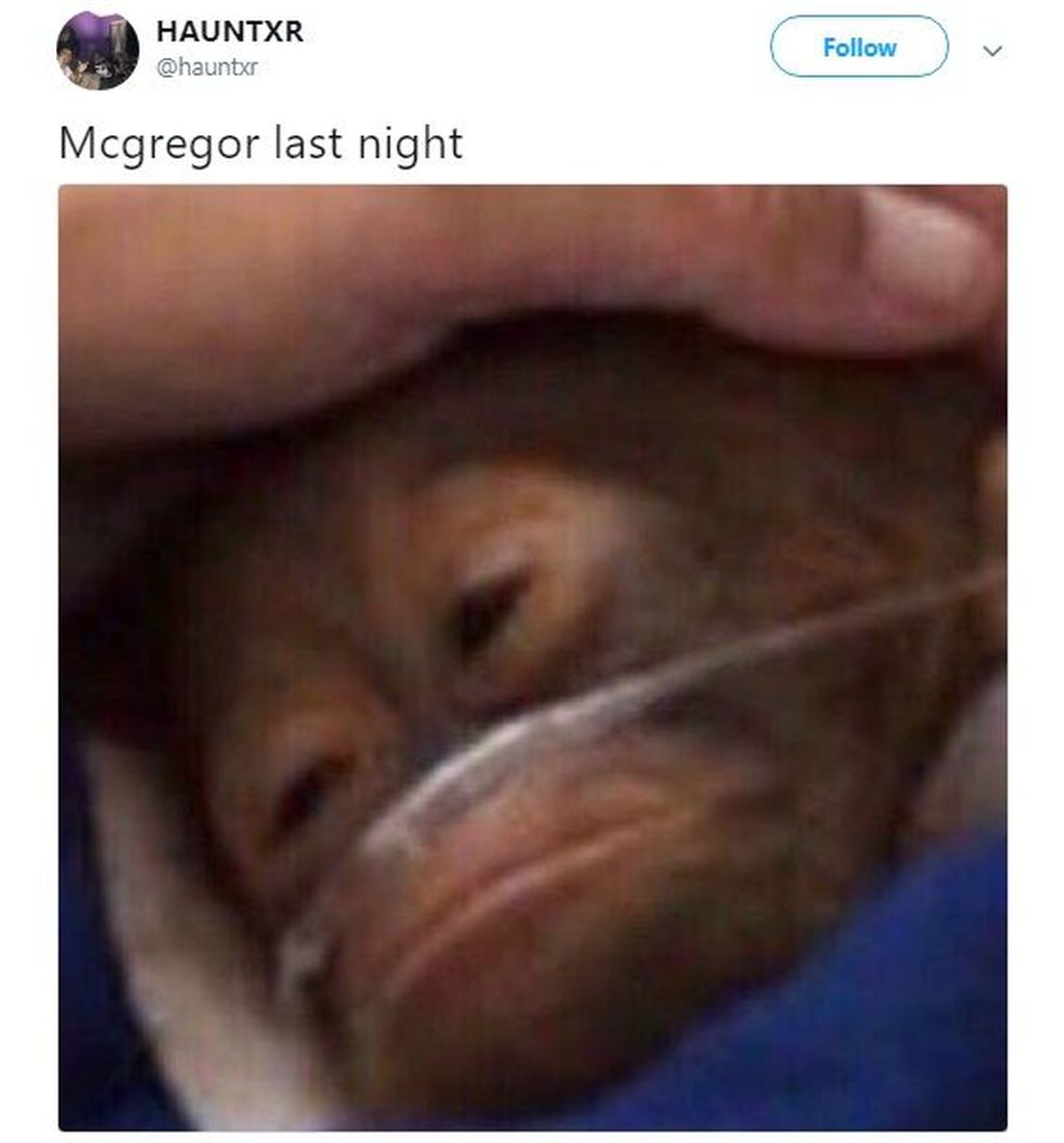 Kalah dari Khabib McGregor Jadi Korban Meme Kocak