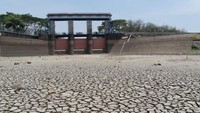 Waduk Bening yang memiliki luas genangan 5,7 kilometer persegi dengan kapasitas efektif 25,768 juta meter kubik tersebut mengalami penyusutan hingga posisi permukaan air berada di bawah titik nol pintu air atau pelimpah waduk, sehingga tak bisa mendistribusikan air irigasi. Antara Foto/Siswowidodo.
