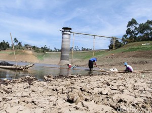 Kemarau Panjang, Situ Cipananjung Pangalengan Mengering