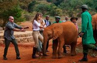 Saat Melania akan diseruduk oleh anak gajah di (Carolyn Kaster/AP/CNN)