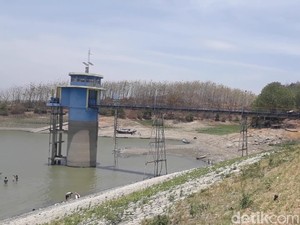 Air Waduk Malahayu Brebes Disetop, 12.378 Ha Lahan Akan Kekeringan