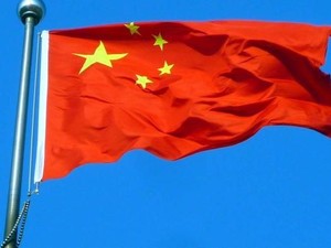 Ratusan Investor China Mau Bangun Industri Kayu di RI