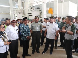 Jamin Stok Pangan, Kementan Serius Garap Lahan Rawa Pasang Surut