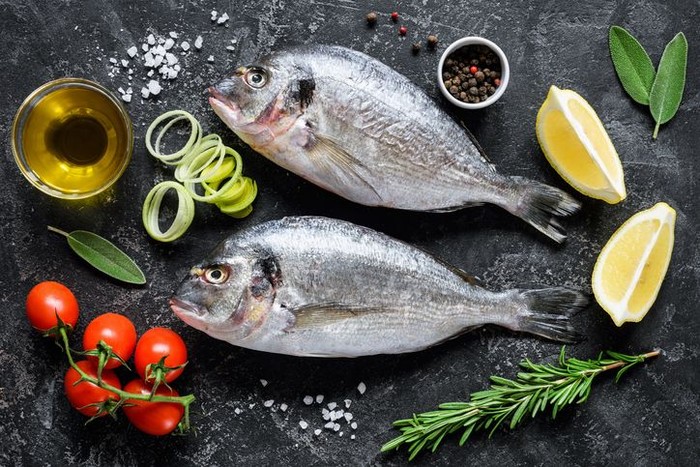 ilustrasi ikan