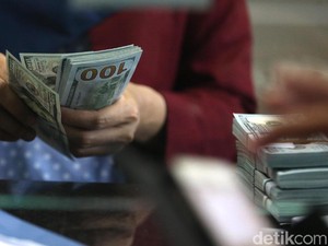 Dolar AS Menjinak Hari Ini, BI: Kepanikan Mulai Turun