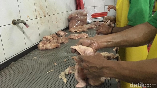 Harga Ayam Anjlok, Peternak Teriak