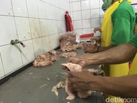 Harga Ayam Anjlok, Peternak Teriak