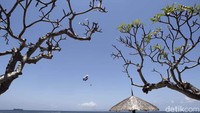 Sejumlah sektor usaha di Bali pun mengalami peningkatan keuntungan imbas dari pertemuan internasional itu, salah satunya adalah sektor pehotelan.