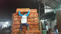 Petugas dari RPUH (Rumah Potong Hewan Unggas) melakukan pemeriksaan Surat Keterangan Kesehatan Hewan dari daerah asal serta mengecek banyaknya jumlah ayam. (Foto: detikHealth/Khadijah Nur Azizah) 