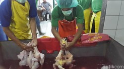 Daging ayam yang sehat didapat dari proses yang panjang. Yuk intip pemotongan daging ayam di RPHU (Rumah Potong Hewan Unggas) Rawa Kepiting, Jakarta Timur.