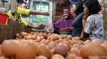 Harga Telur Ayam Naik