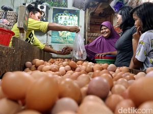 Jika Usai Pilpres Rusuh, Harga Telur Naik Berkali Lipat Seperti 98