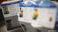 Agar informasi tersebar merata di area Jakarta, pemerintah provinsi DKI Jakarta memberikan 500 microchip gratis. Harapannya pada 2019 para pemilik dan peternak (breeder) anjing sudah memasangkan microchip pada hewan peliharaanya.