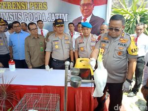 Ratusan Burung Langka Diamankan dari Penangkaran Ilegal di Jember