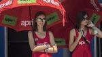 Yang Manis dan Cantik di MotoGP Thailand 2018