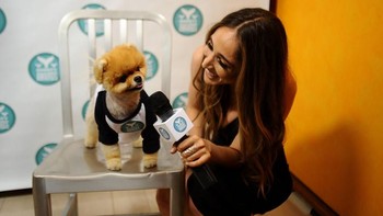 Jiffpom sudah layaknya selebritas. Ia pun pernah tampil di video klip lagu Katy Perry. (Foto: Gary Gershoff/Getty Images for The Shorty Awards)