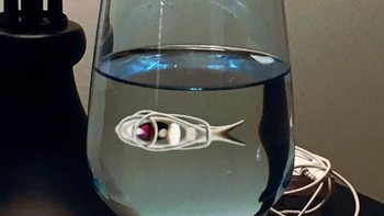 Ikan? Bukan, itu hanya refleksi dari kabel di belakang gelas. Foto: Ultralink