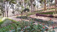 Foto: Traveler sudah pernah ke sini belum? (Dadang Hermansyah/detikTravel)
