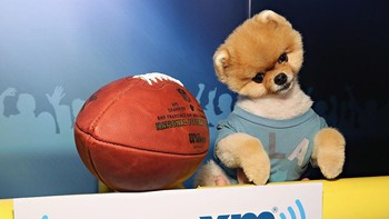 Aksi lain Jiffpom pada tahun 2016. Menggemaskan sekali ya (Foto: Cindy Ord/Getty Images for SiriusXM)