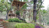Foto:  Banyak berbagai jenis bunga yang ditanam dan beberapa spot foto yang unik, seperti taman bunga berbentuk hati, spot foto hati, dan rumpun bambu yang mirip sebuah gua. Juga beberapa rumah pohon. (Dadang Hermansyah/detikTravel)