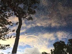 Deretan Foto Refleksi yang Harus Dilihat Dua Kali
