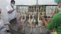 Pengambilan jeroan dan pembersihan ayam dengan air mengalir. (Foto: detikHealth/Khadijah Nur Azizah) 