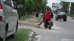 Penampakan Belasan Rusa Berkeliaran di Jalanan Kota Palu