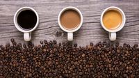 Ingin Buka Kafe? Gabung Segera di 'Coffee and Cafe Workshop