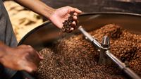 Ingin Buka Kafe? Gabung Segera di 'Coffee and Cafe Workshop