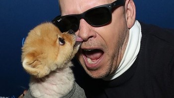 Salah satu aksi Jiffpom di acara Super Bowl pada tahun 2016. Akrab banget deh bersama aktor Donnie Wahlberg! (Foto: Cindy Ord/Getty Images for SiriusXM)
