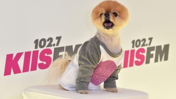 Sekali posting (berbayar) di Instagram, Jiffpom disebut-sebut bisa mengantongi USD 35.000 atau sekitar Rp 532 juta. (Foto: Frazer Harrison/Getty Images)