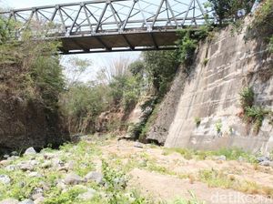 Mahasiswa UMK Meninggal Usai Pradiksar, Bupati Kudus Angkat Bicara