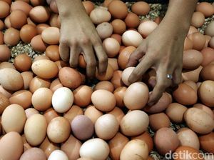 Harga Telur Ayam Naik
