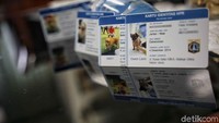 Tujuan dari pembuatan KTP hewan ini guna mendata kepemilikan anjing, melacak anjing, serta agar warga lebih bertangung jawab terhadap hewan peliharaannya. 