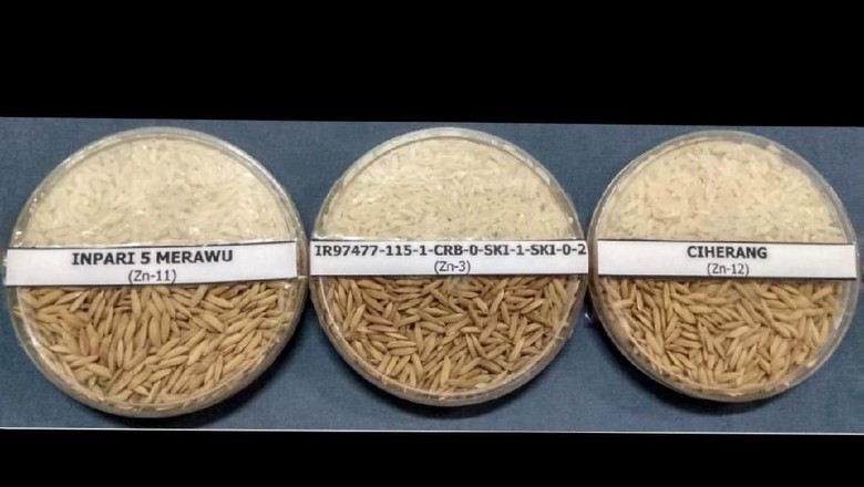 Petani Dapat Komersilkan Varietas Baru Tanpa Proses Pelepasan Petani Dapat Komersilkan Varietas Baru Tanpa Proses Pelepasan