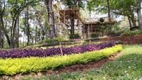Foto: Meski pengerjaannya belum selesai 100 persen, namun taman ini sudah terlihat segar dan cantik. (Dadang Hermansyah/detikTravel)