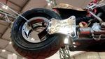 Harley Bernuansa Kalimantan