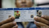 Identitas atau KTP itu sesuai dengan microchip yang dipasangkan kepada anjing.